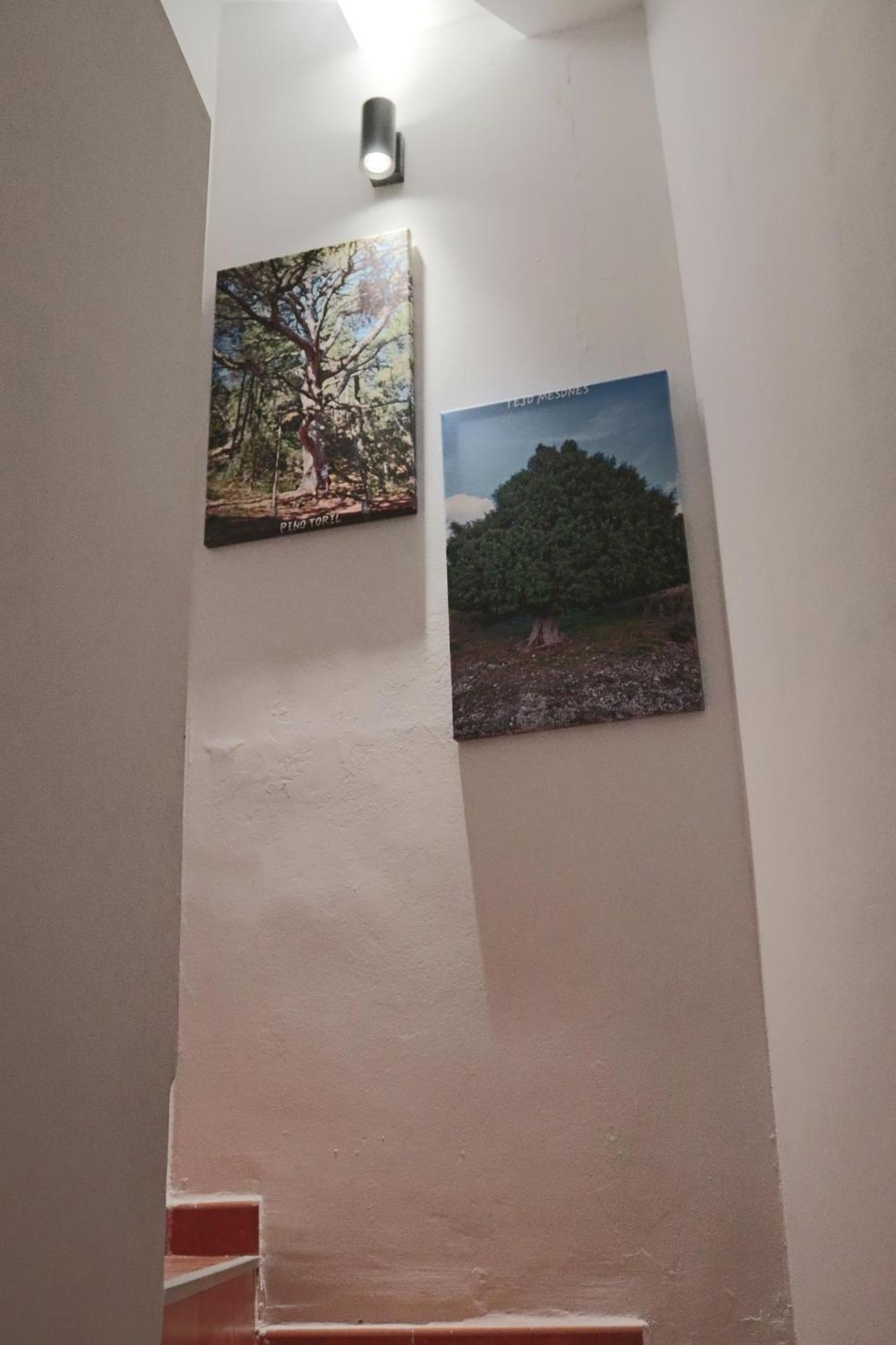 Vila Casa 25 Riópar Exteriér fotografie